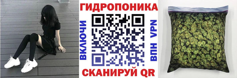 Какие есть наркотики Сковородино Амфетамин Меф A-PVP Псилоцибиновые грибы Кокаин Гашиш