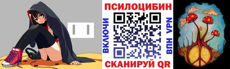 наркошоп  Сковородино  Галлюциногенные грибы Psilocybine cubensis 
