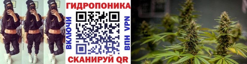 что такое Сковородино omg сайт Каннабис VHQ